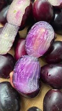 How to identify a Jamun Tree - Know your Trees Series, Ep 7