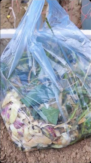 How to Make Compost at Home #homegardening #compost