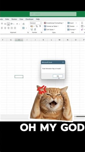 Excel Prank with users 😂😂 #shortsfeed #excel
