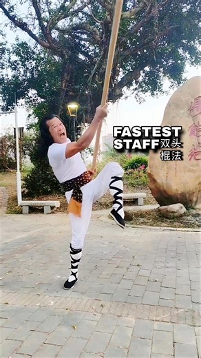 FASTEST Kung Fu Staff⚡双头棍法