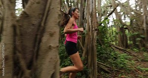 Running fitness sport woman trail running in forest by banyan tree training and living healthy active outdoor lifestyle working out. Female trail runner, 59.94 FPS. Oahu, Hawaii, USA