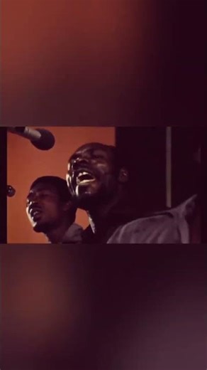 Toots & The Maytals "Sweet and Dandy" 🎙️🎶#tootsandthemaytals #reggaemusic #musicareggae #rootsreggae