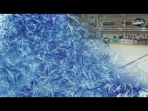 Solway Sharks SNL v Whitley Warriors Highlights - 18th October 2025