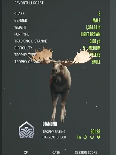 Experience My Biggest Moose Catch in Call of the Wild