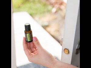 La différence entre la citronnelle et le lemongrass doTERRA