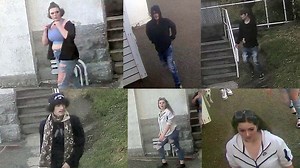 Vandals target Oregon's beloved Heceta Head lighthouse; troopers seek persons of interest