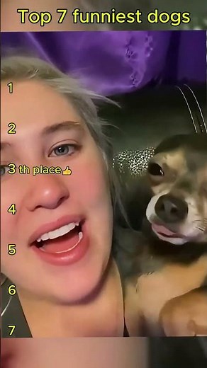 Top 7 Funniest Dogs Ever! 🐶🤣