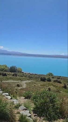 Discovering Lake Pukaki, New Zealand, G Adventures from Michelle S. 🇳🇿