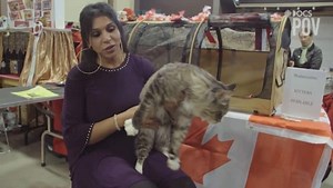 Catwalk: Cat Show Participants