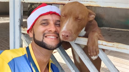 When You're Living with an Extrovert Dog – Funny Dog Moments