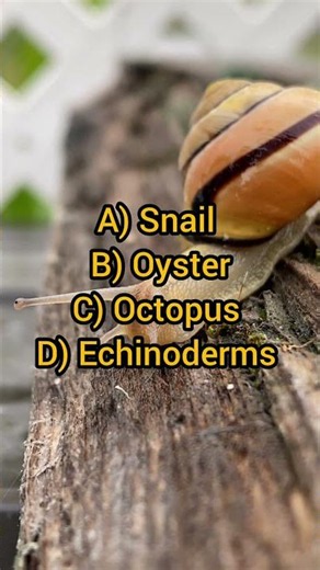 molluscs| etea general science mcqs| abdur Rahman official