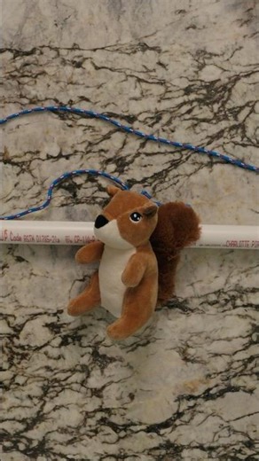 Craft a DIY Flirt Pole for Dogs | Easy Homemade Dog Toys