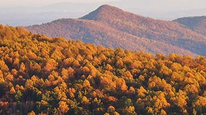 When is peak fall foliage in Virginia and North Carolina?