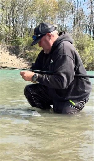 Big wild steelhead. Bobber down! #steelheadfishing #fishingadventures #humboldtcounty