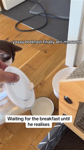 Lord Alfred (@alfred_lord)’s videos with original sound - Lord Alfred