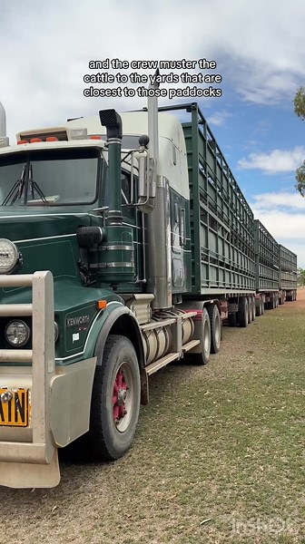 Cattle Station Road Train Operations in Outback Australia