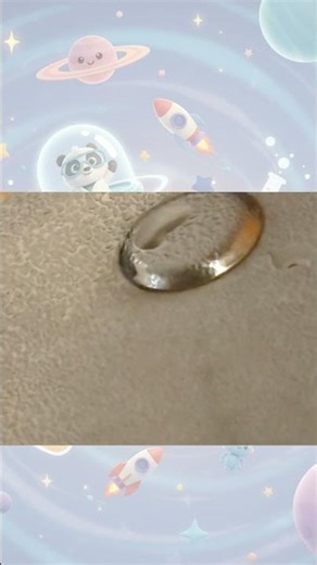 Short Experiment on Condensation 🥽⚗️💧🧫