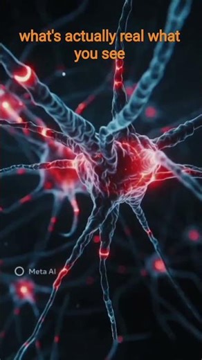 What you see… isn’t reality. It’s your brain’s version of it. 👁️