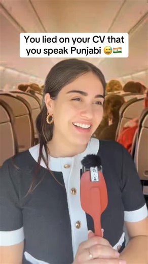 Isadora Baccon | POV: you lied on your CV and now you’re free-styling Punjabi #punjabi #learnpunjabi #indian #languages #cvlie | Instagram