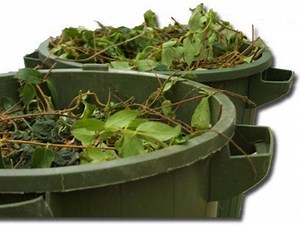 Yes! Yard Waste Pickup Starts Next Month!
