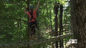 3.6K views · 25 reactions | Visiting Ruby Falls? Look up & you'll be able to soar through the trees! Experience zip lines, climbing walls, and a treetop obstacle course in this must-see adventure at ZIPStream Aerial Adventure Parks! #KDUB #Trip2Nooga #sponsored || www.knoxvilleweekend.com/chattanooga-road-trip-ruby-falls-zipstream | Knoxville Weekend | Facebook