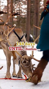 496K views · 25K reactions | ⛸ It’s never too early to sprinkle in some holiday fun! With just 144 days until Christmas, start planning your festive bucket list — baking, ice skating, and a visit from Santa… coming soon. #ChristmasCountdown #PNP | Portable North Pole | Facebook