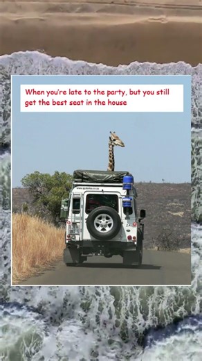 VIP status activated. #memes #viral