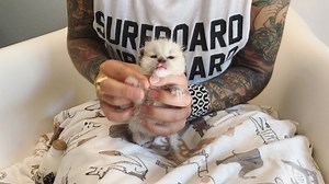 A little over two years ago @iamthecatphotographer and I moved from Washington DC to San Diego to start fresh in a city where the sun is always shining, and kitten season is year round. We weren’t sure if we’d love it or not—we didn’t know many people here, and had never lived on the west coast. We just knew there was good vegan food, warm weather and a whole lot of kittens who needed us. To tell you the truth I’ve always longed for the feeling of having a home base, but it’s something I haven’t