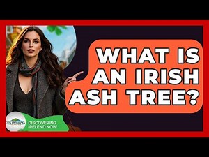 What Is An Irish Ash Tree? - Discovering Ireland Now