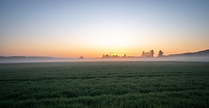 Starting Over New Each Day - The Crosswalk Devotional - November 28 - Daily Devotional