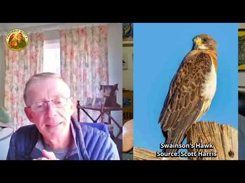 E47 — Peter Stangel: Managing Forests for People and Wildlife