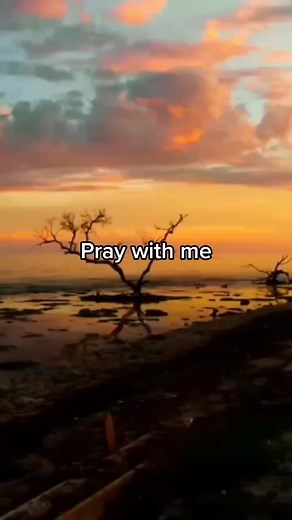 Daily Scriptok on TikTok