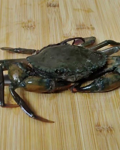 How to Make Simple Spicy Crab Curry | South Indian Mud Crab Recipe