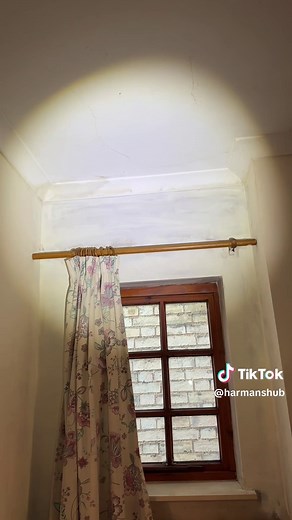 Understanding Black Mold and Its Implications