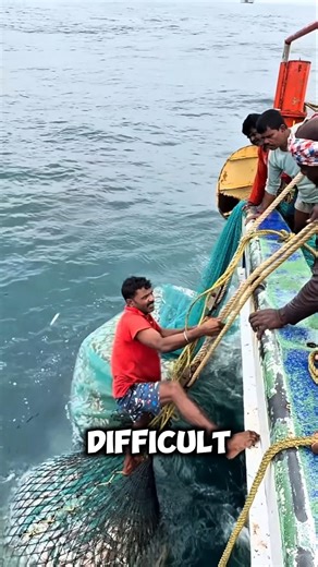 How fishermen spend their days and nights at sea!