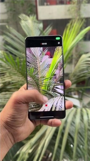 Redmi note 14 Pro camera test #reels #zoomtest #shortvideo #instareels #smartphone #ytshorts 👬📳🦅