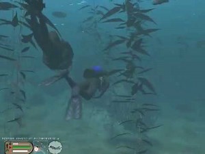 eDiving Virtual BuddyDiving