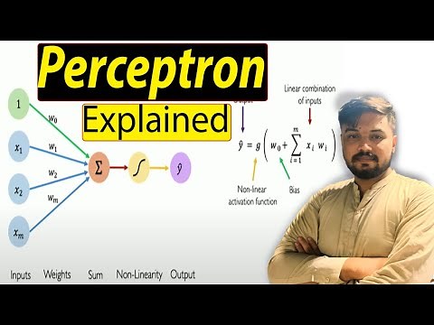 Perceptron Explained: The Foundation of Neural Networks | AI & Deep Learning Tutorial | Part 1