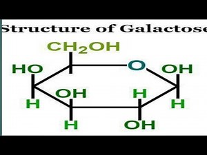 structure of galactose