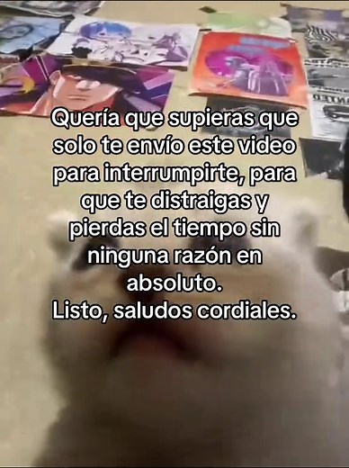 🤪🤪🤪 #gato #fyp #meme #memes | gato