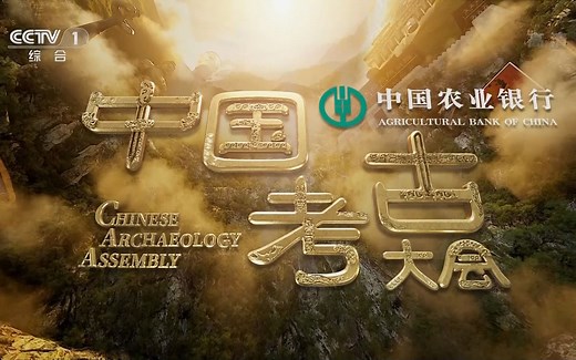 （1080P+）《中国考古大会》【全13期】