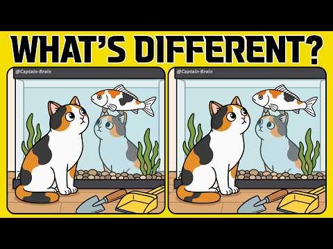 Spot the Difference: A Fun Challenge to Keep Your Eyes Sharp (A Bit Tricky)