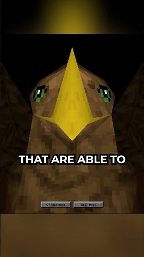 WILDEST Character Races in an RPG - Devil Spire Falls