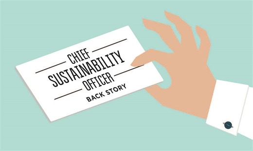 The Role of the Chief Sustainability/Climate/Resilience Officer in U.S. Cities