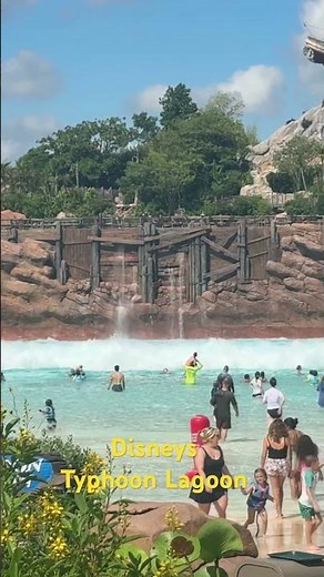 The wave pool at Typhoon Lagoon is CRAZY #disney #waterpark #shorts
