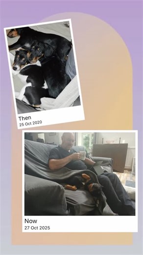 Normandy Kitchen Copper on Reels | Facebook