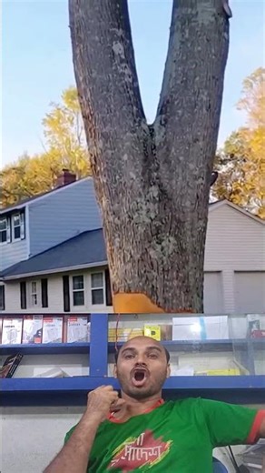Tree almost crashes into house 😰 #shorts #treecutting #fail 195