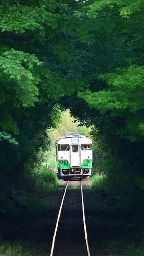 電車から見る実際の物語風絶景｜日本の車窓ベストシーン