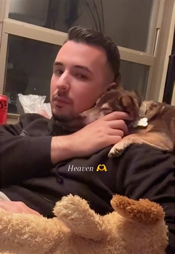 The way he loves the doggies 🥺💕 He treats them as his own. Honestly she knows who feeds her 👀💕 #dogsoftiktok #heaven #dogs #boyfriend #rescuedog
