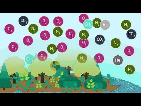 Propriétés de l'air, composition de l'atmosphère terrestre